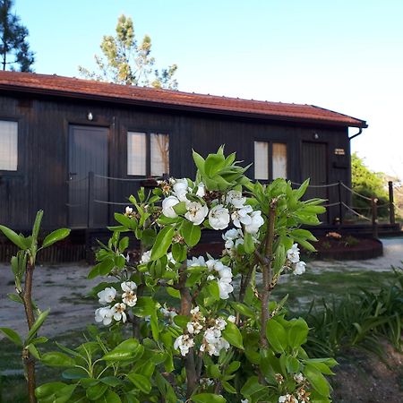 Casinha Do Cedro Villa Baião Eksteriør bilde