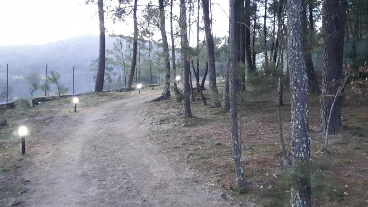 Casinha Do Cedro Villa Baião Eksteriør bilde